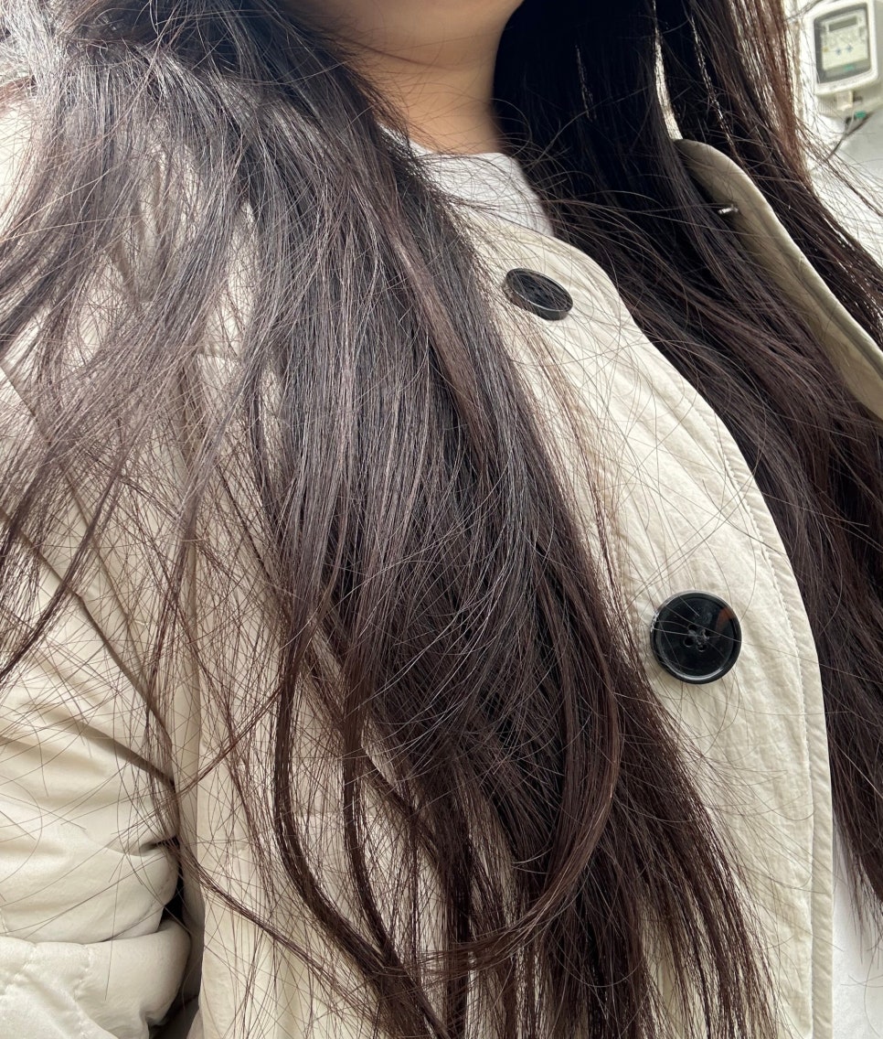 늘 살롱(,NEUL salon) 이미지