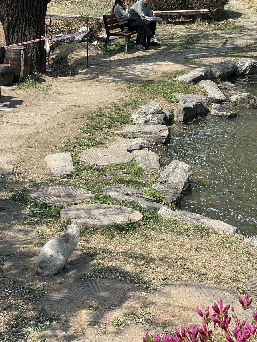채원복권 이미지