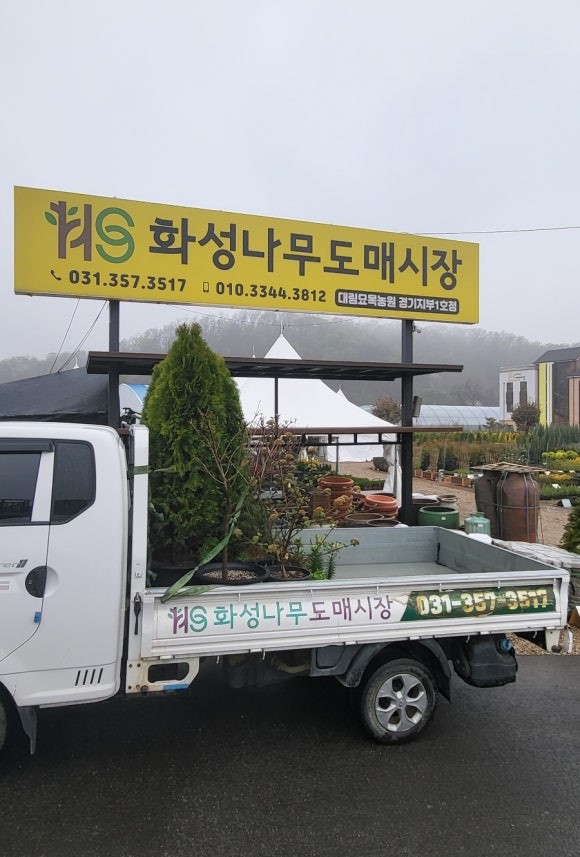 화성꽃도매 이미지