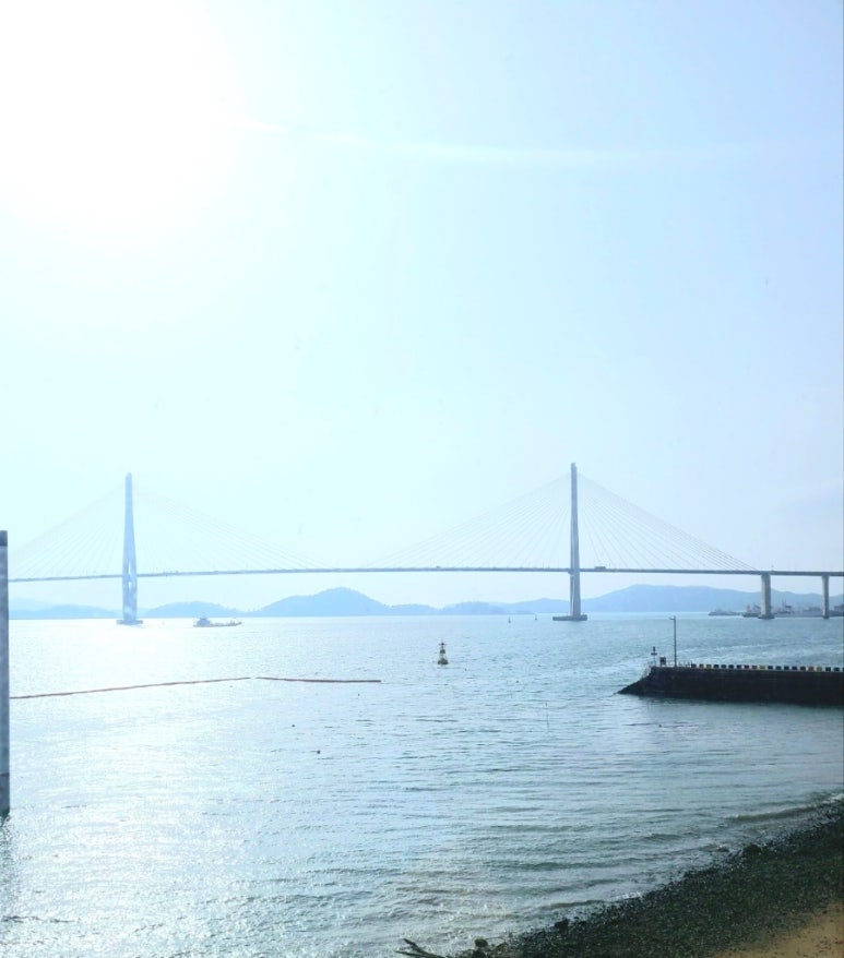 돼지보쓰 이미지