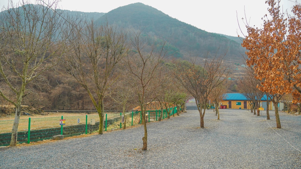 소백산오토캠핑장 이미지