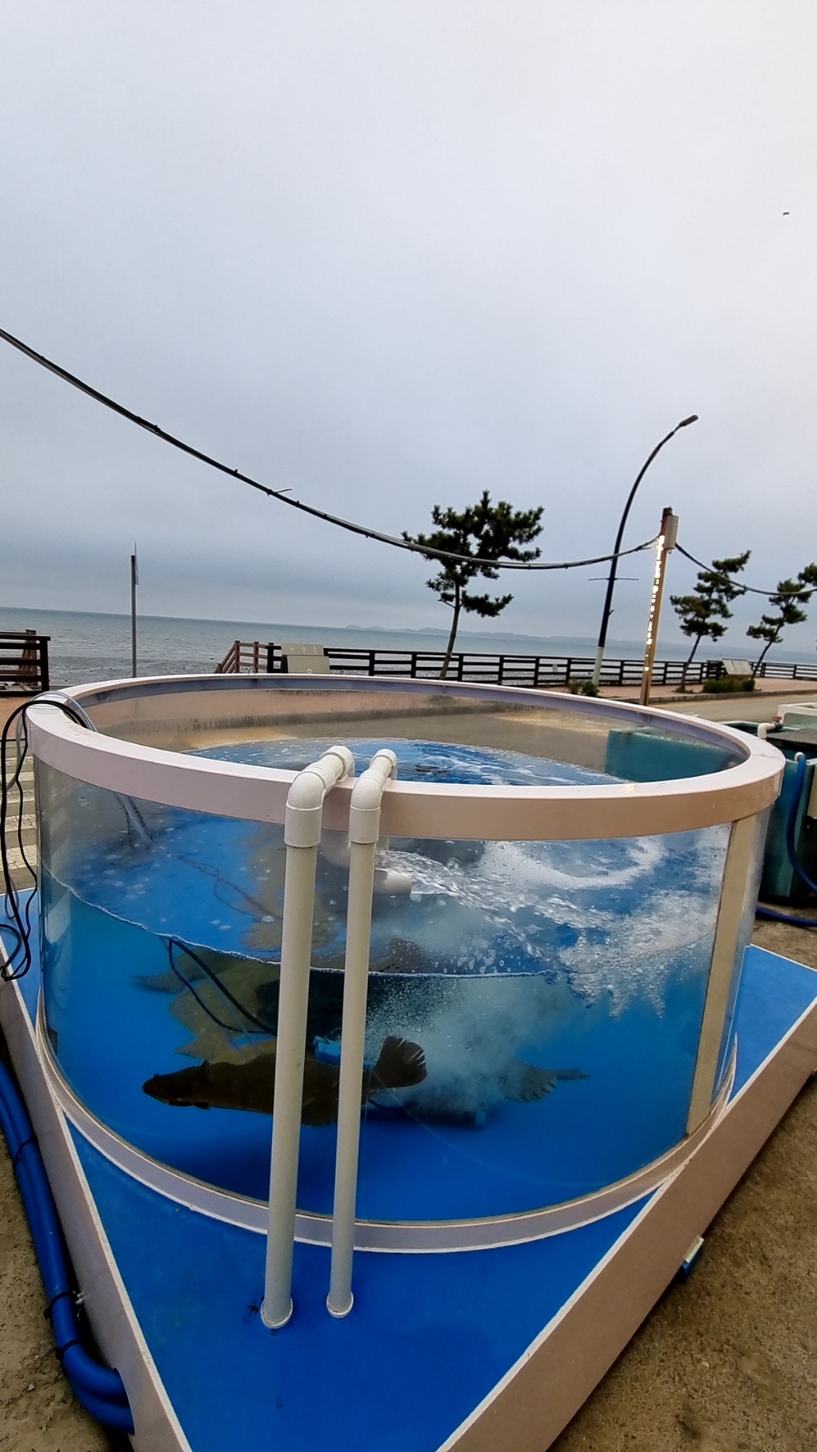 중앙횟집 이미지
