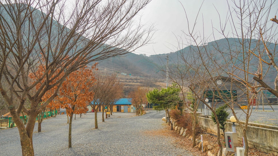 소백산오토캠핑장 이미지