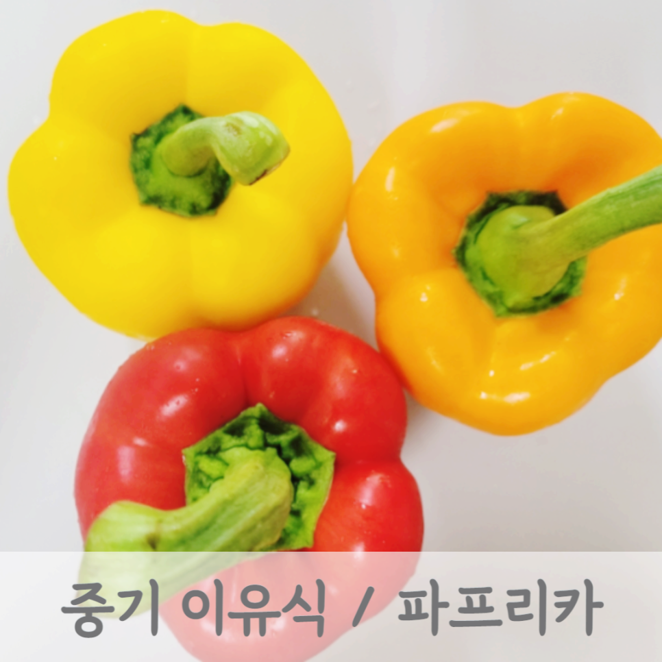 모도리베이비 이미지