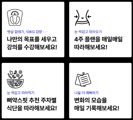 삐약스핏 이미지