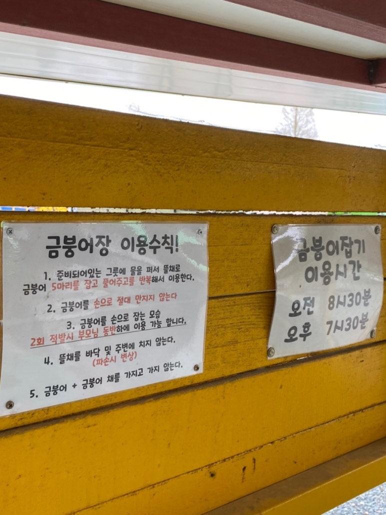엄마랑놀자키즈글램핑 이미지