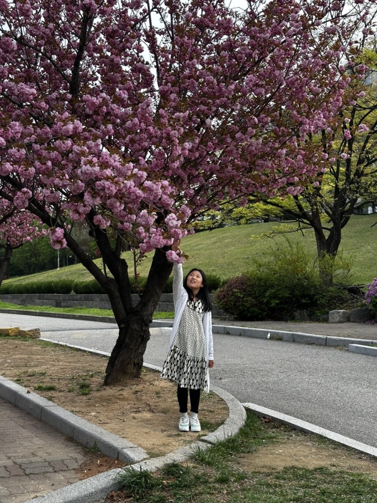 선인I 이미지