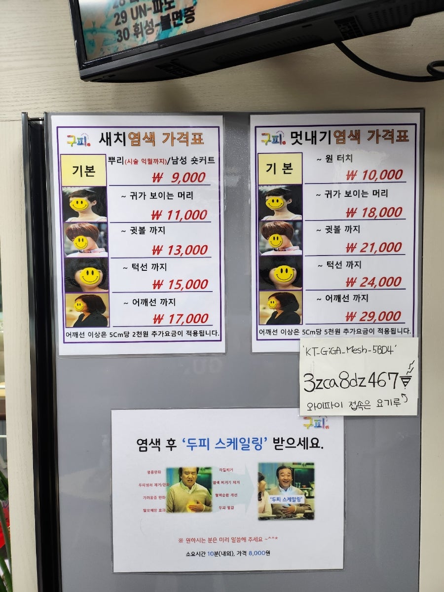 구피염색방 이미지