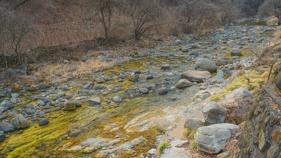 소백산오토캠핑장 이미지