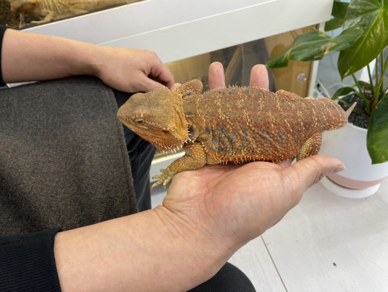 메리네카페 이미지
