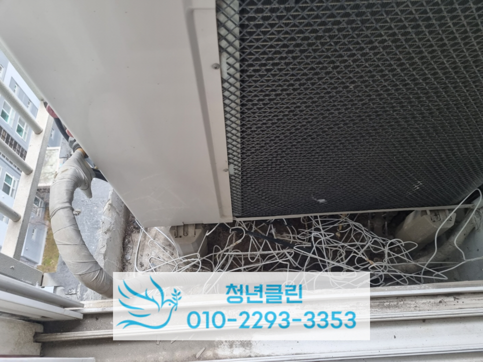 비둘기세탁소 이미지