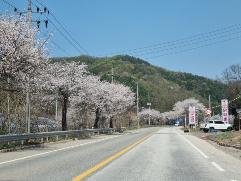 테토양평캠핑장 이미지
