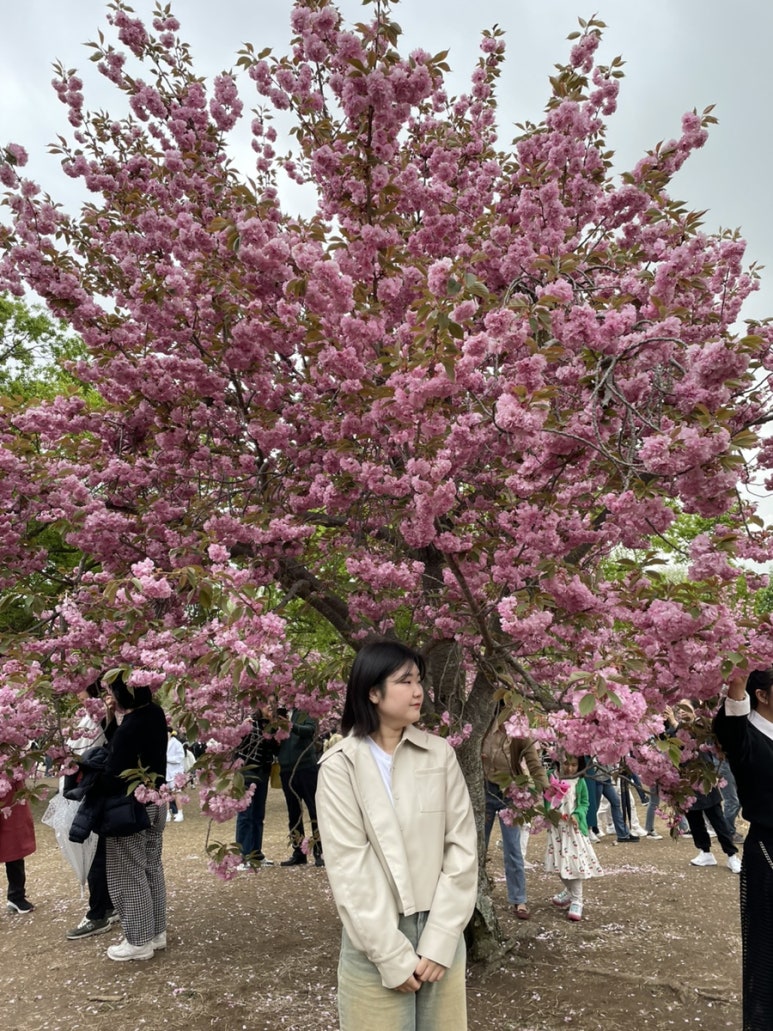 왕경막걸리 이미지