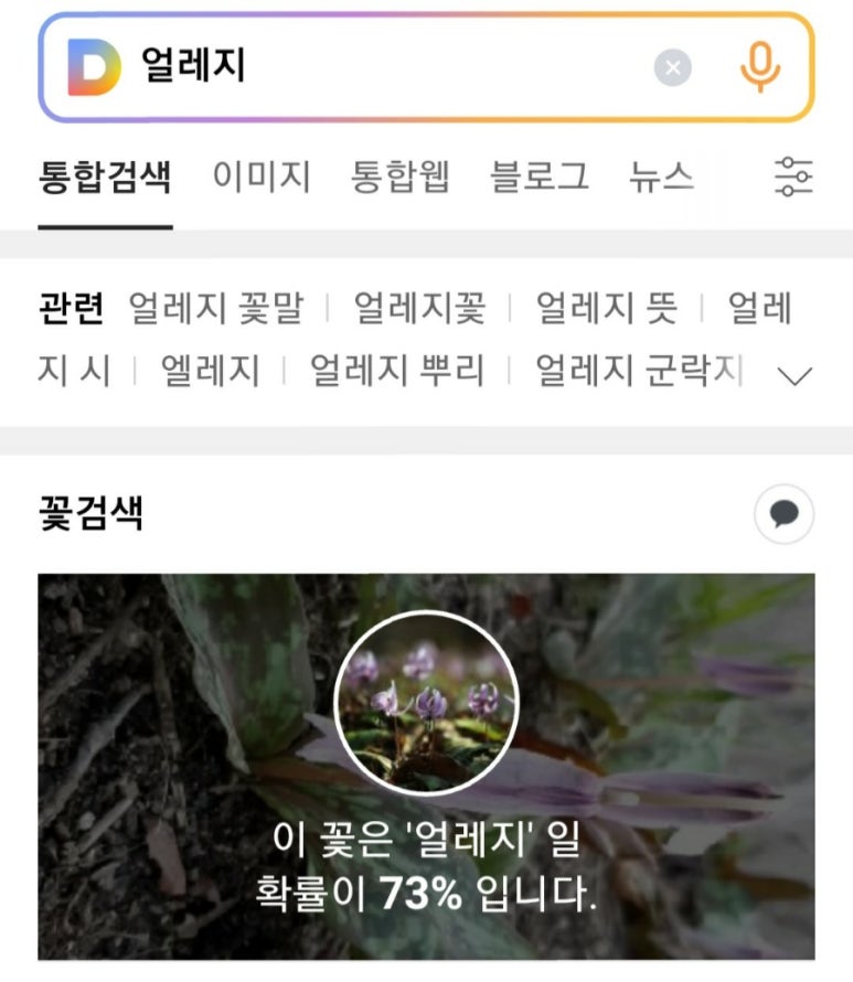 백운산숲속의아침 이미지