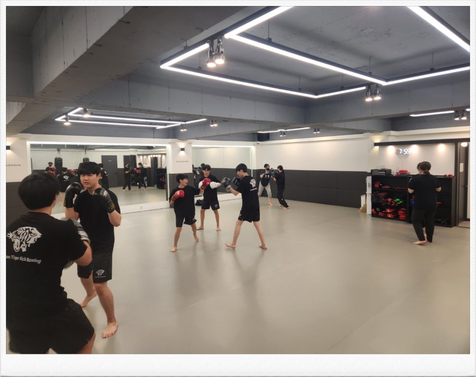 팀타이거.킥복싱.이종격투기 이미지