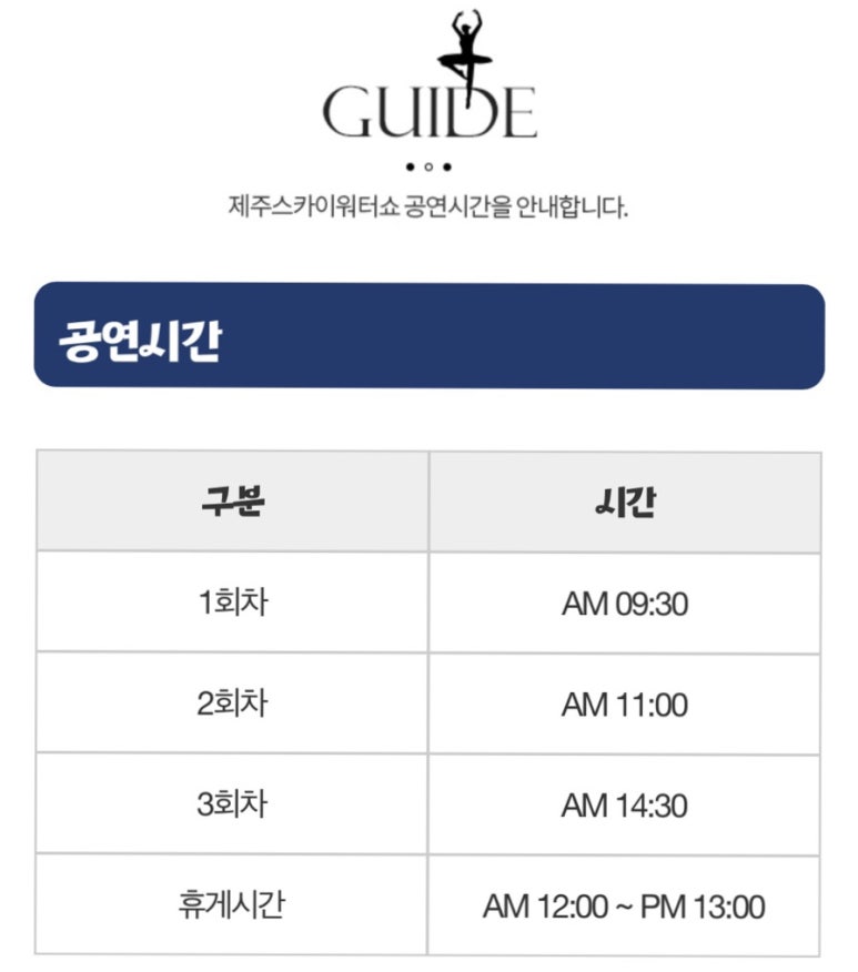 스카이관광여행사 이미지
