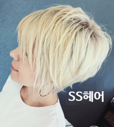 금빛칼라 이미지
