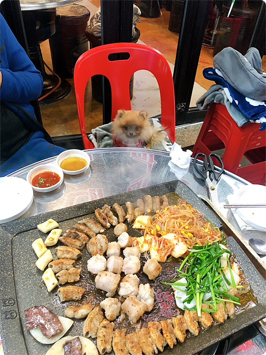곱창자랑 이미지