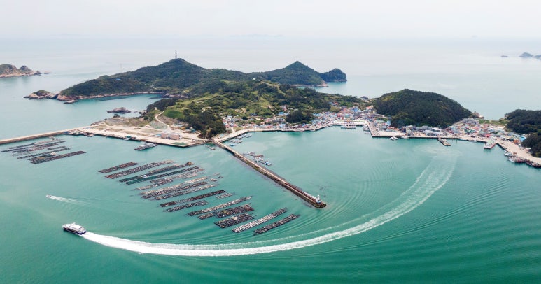흑산도사리수산 이미지