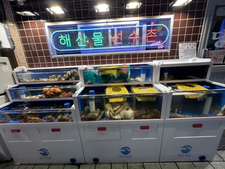 삼바리 정관점 이미지