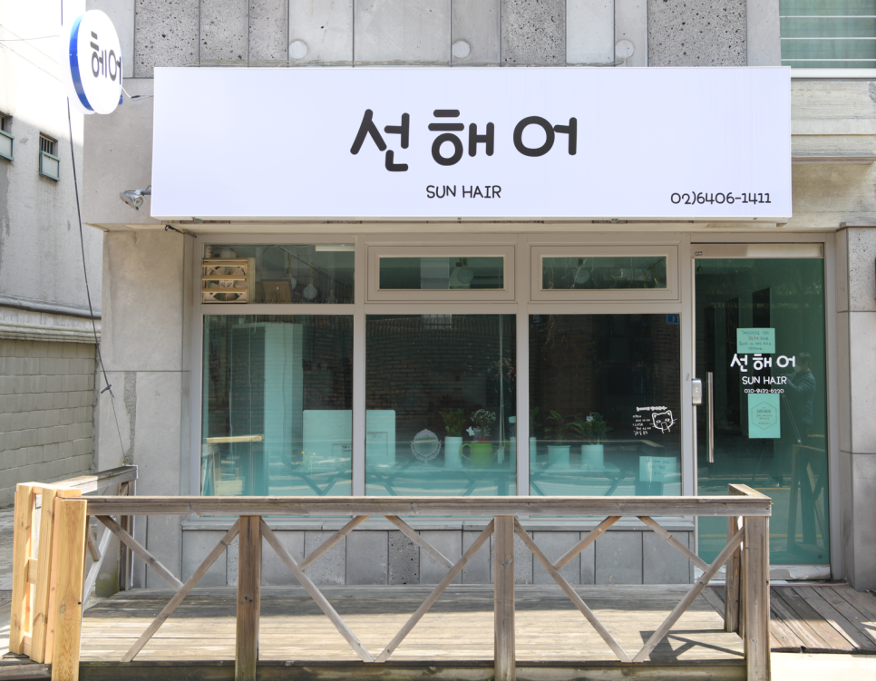 선해어 이미지