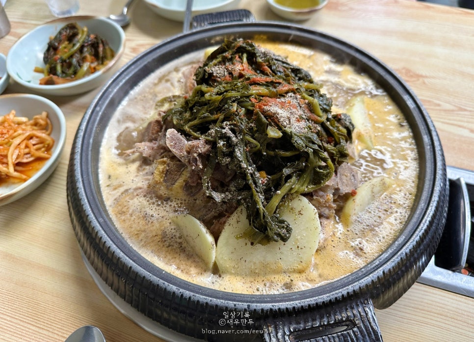 이조뼈다귀 이미지