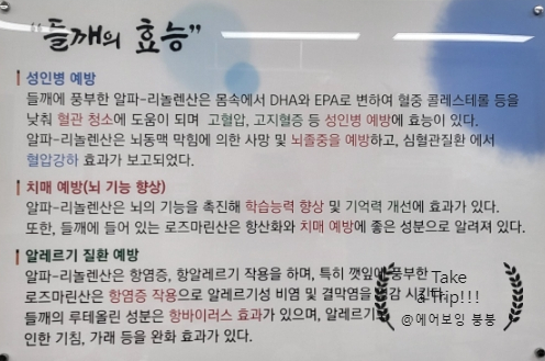 선옥바지락칼국수 이미지