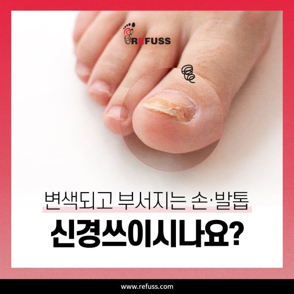 레푸스 판교점 이미지