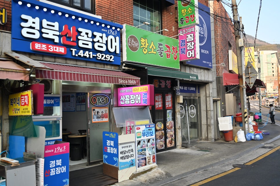 부산산꼼장어 이미지