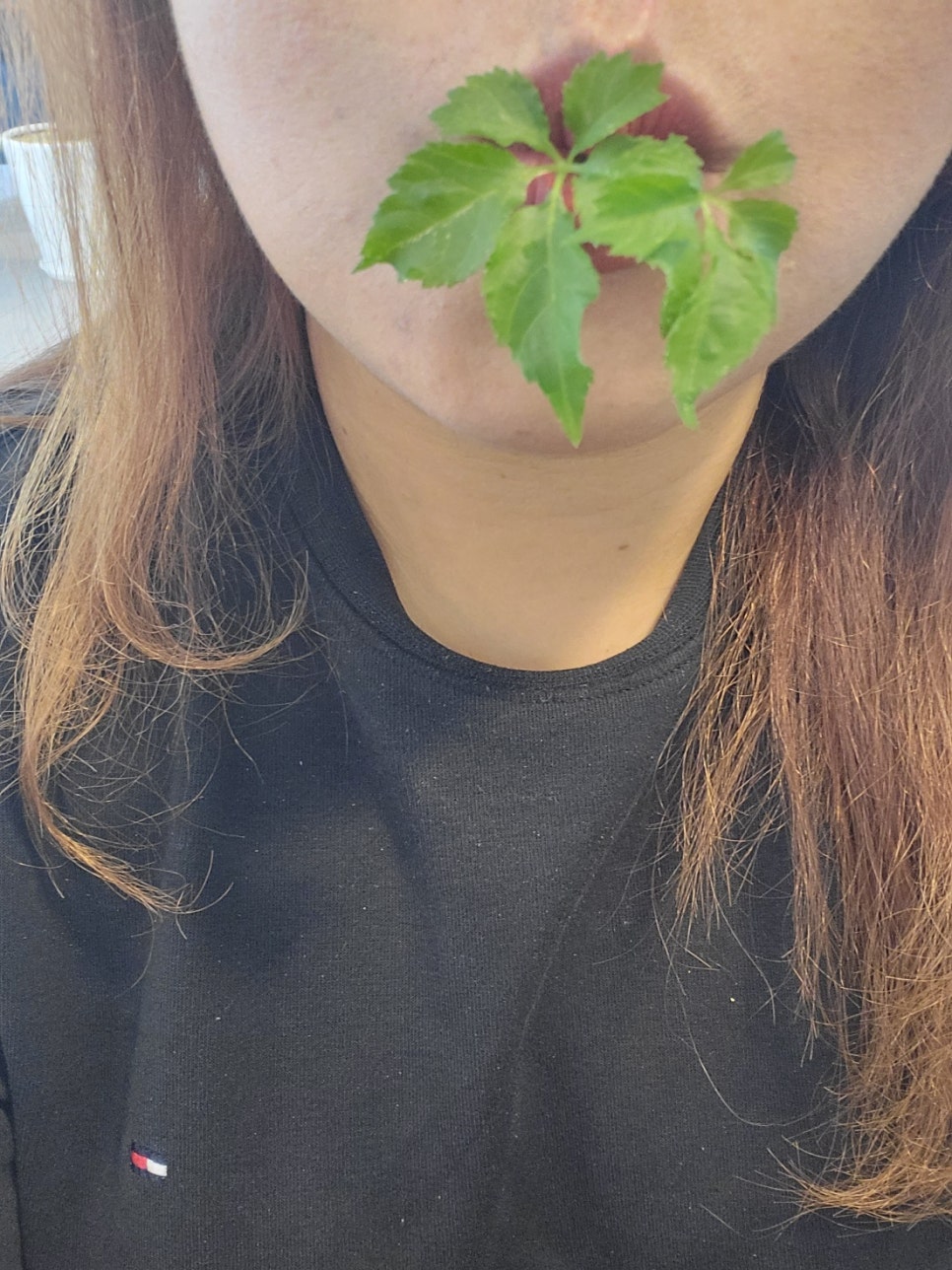 느림목카페 이미지