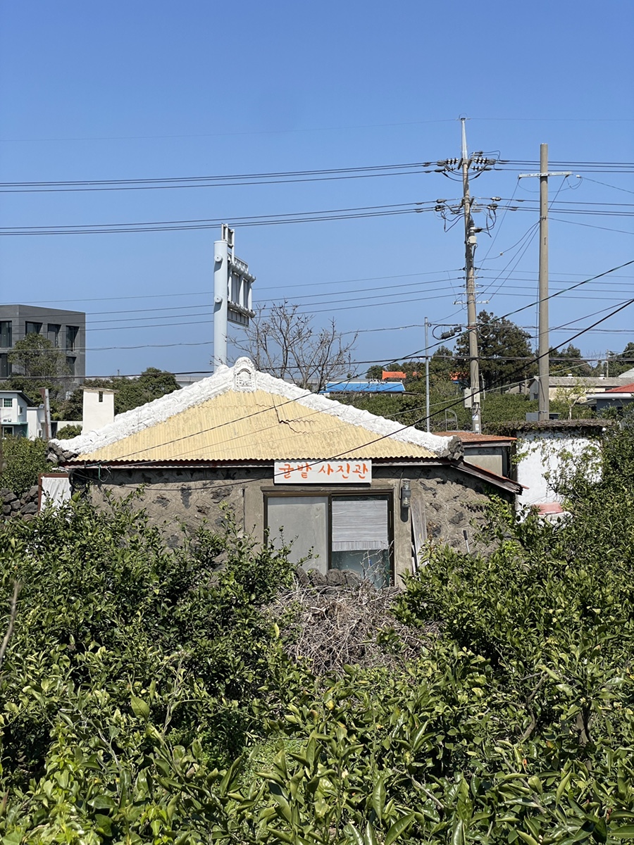 사진관찾음 이미지