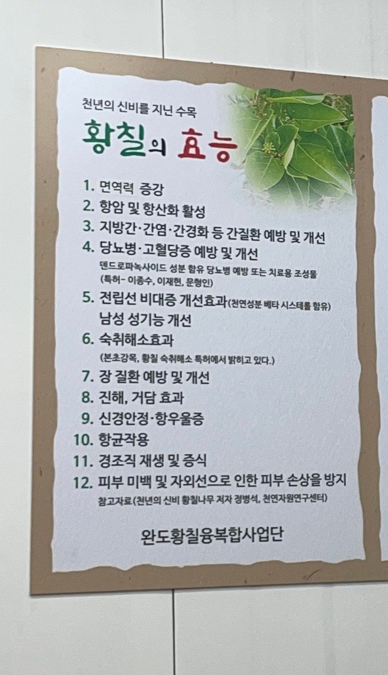 원조황칠나무녹두닭백숙 이미지