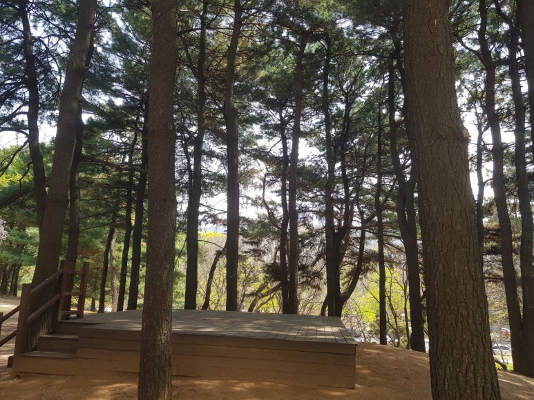 사) 한국장애인고용안정협회 이미지