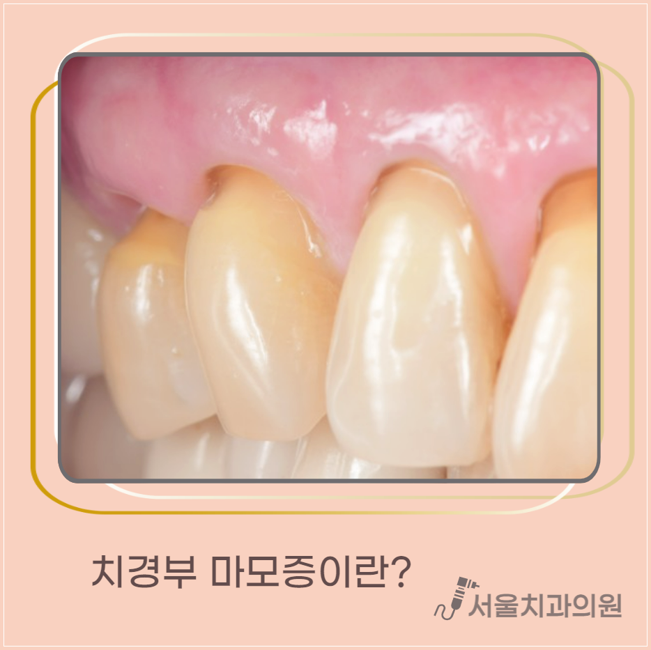 서울필치과의원 이미지