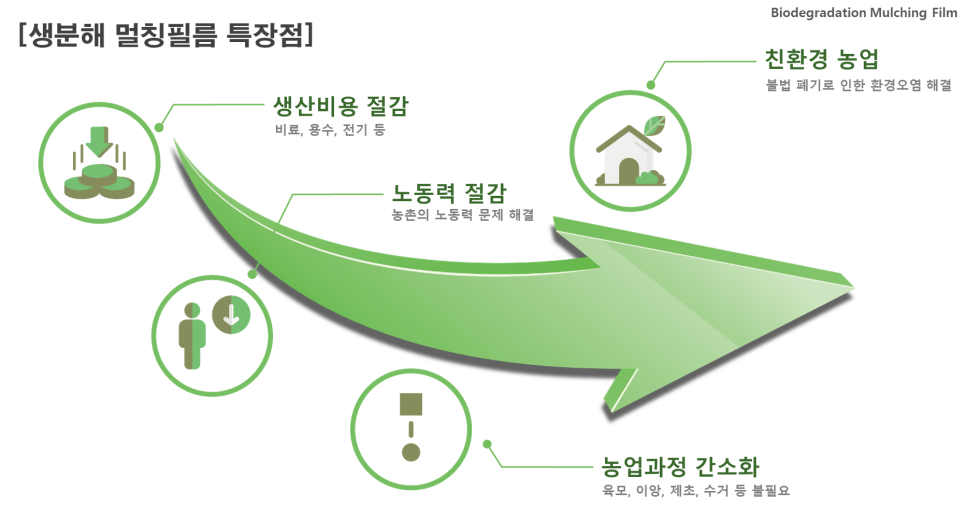 화이트환경주 이미지