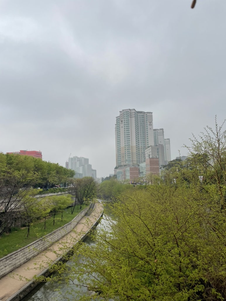 샵사구팔구 이미지