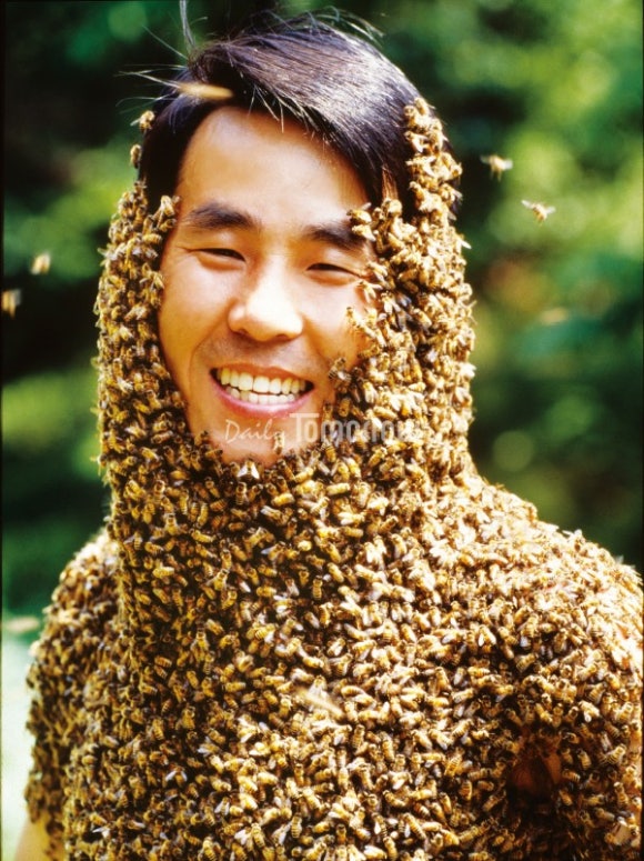안상규벌꿀 이미지