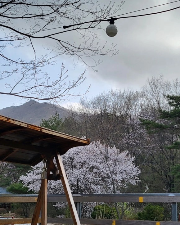 운장산해마루캠핑 이미지
