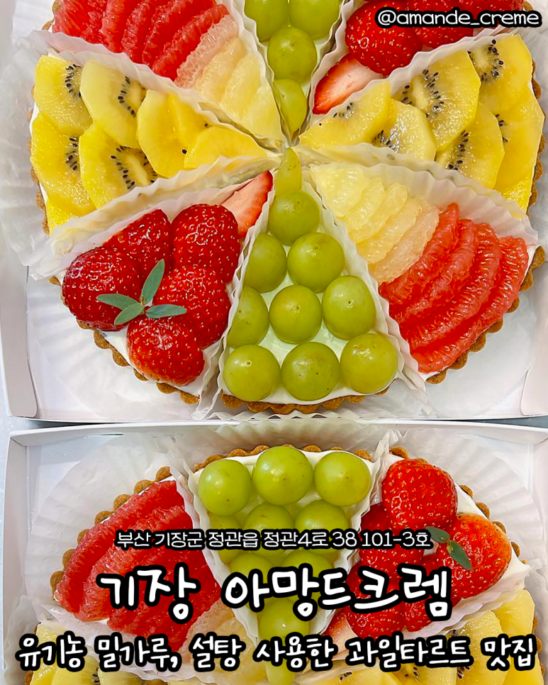 과일101 이미지