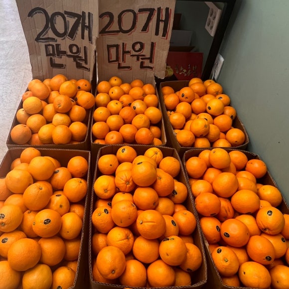 과일이맛있는집 이미지