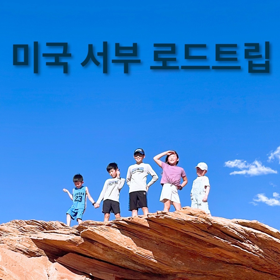 샌드자이언 이미지