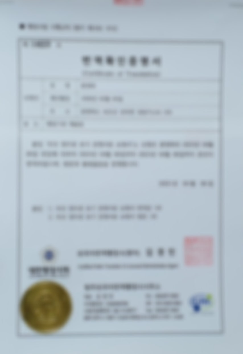 세종번역 이미지