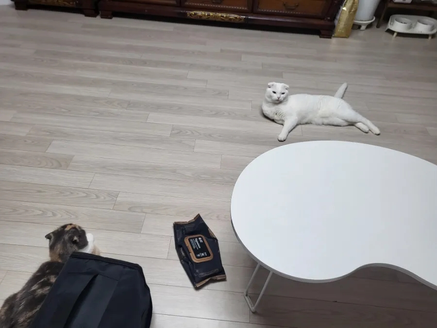 일미리금계찜닭장유삼문점 이미지