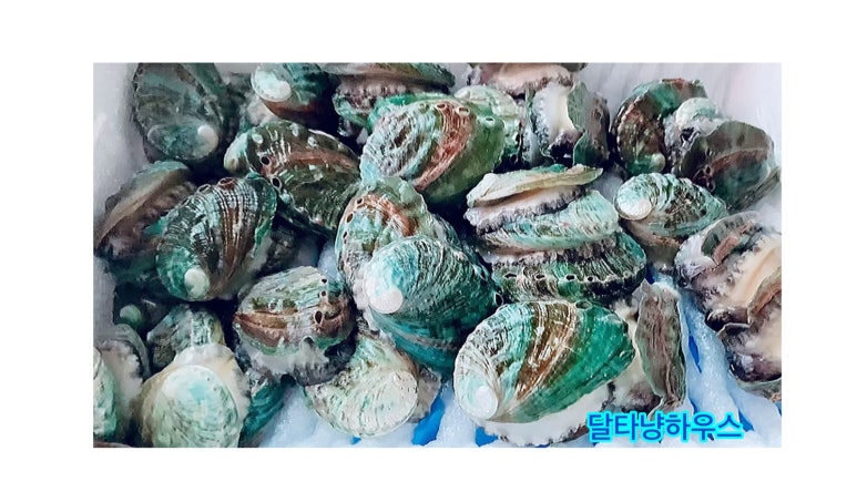 로컬마케팅협동조합해드리오 이미지