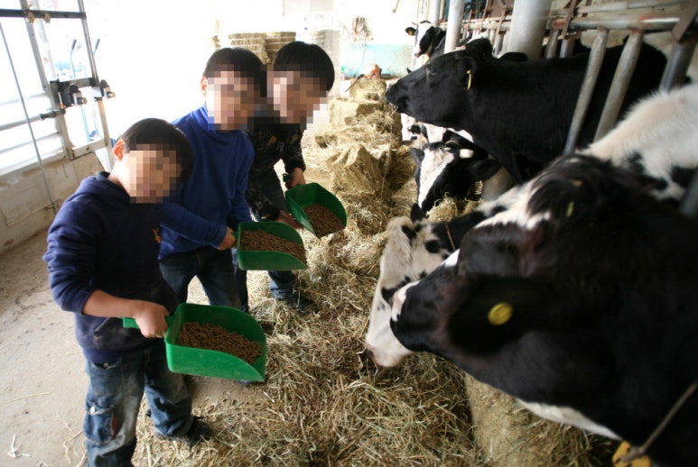 요라파 영농조합법인 이미지