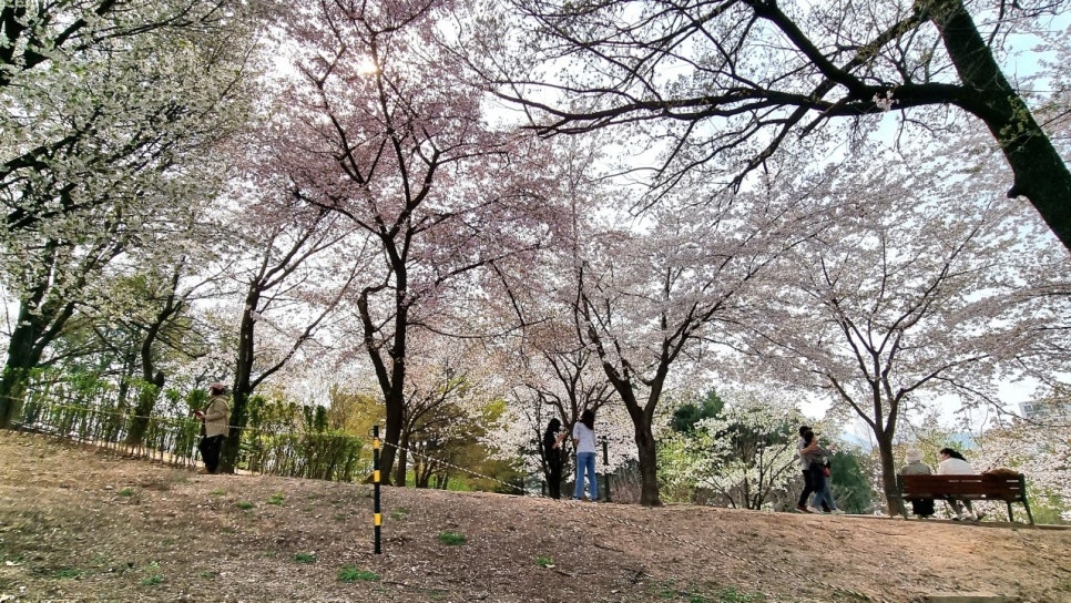 봄마실 이미지