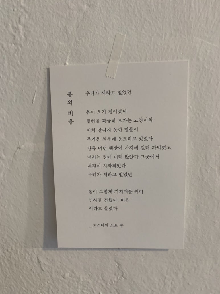 모눈 이미지