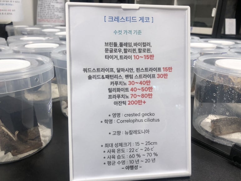 파블박사 이미지