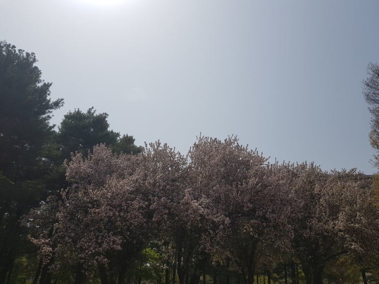 사) 한국장애인고용안정협회 이미지