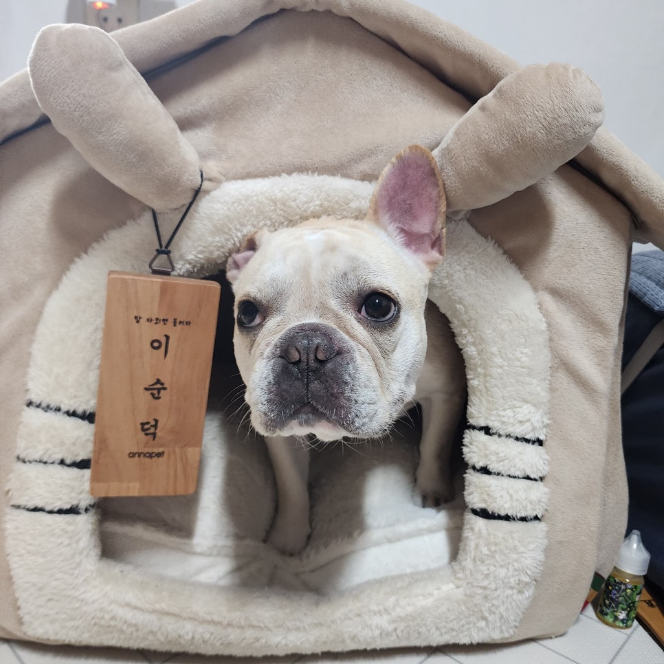 만수가구 이미지